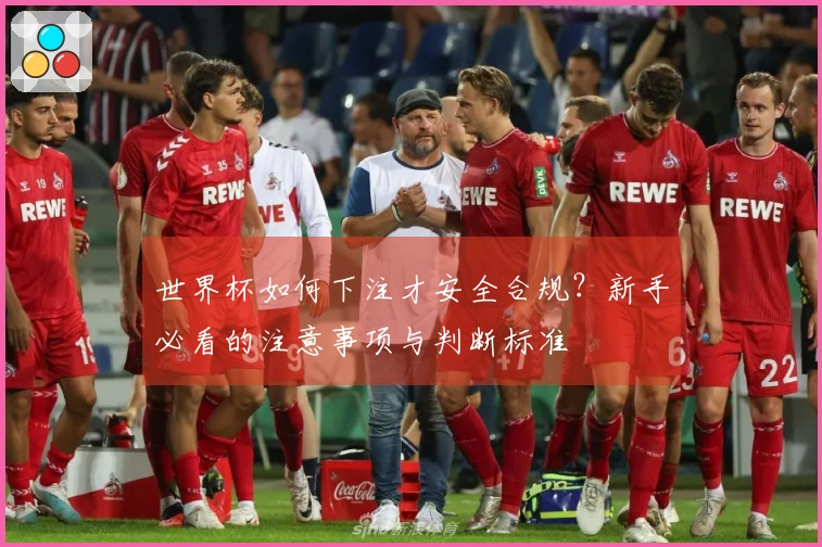世界杯如何下注才安全合规？新手必看的注意事项与判断标准